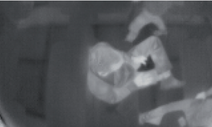 FLIR RSX-F, IR-kamera for superrask branndeteksjon